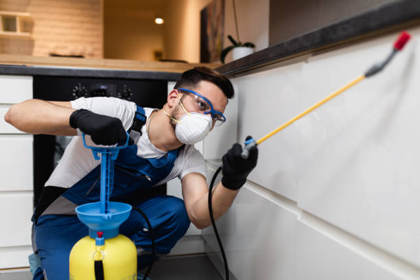 Best Flea Control Services  in Lancaster, KY