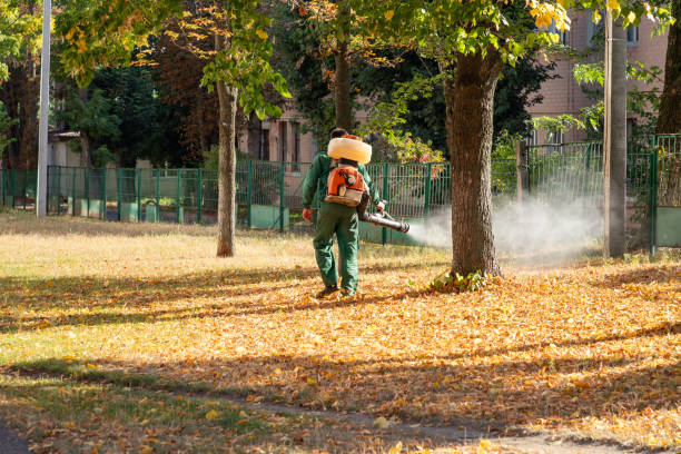 Best Insect Control  in Lancaster, KY