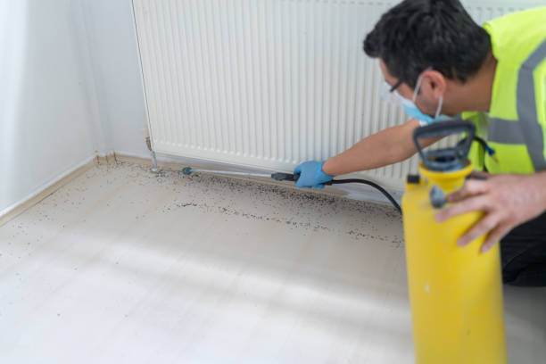 Pest Prevention Services in Lancaster, KY